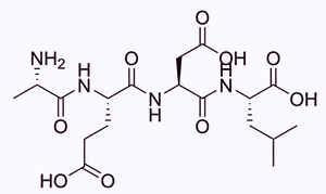 Bronchogen: A Guardian of Respiratory Health