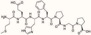 Neuropeptide Sema: Cognitive Enhancement